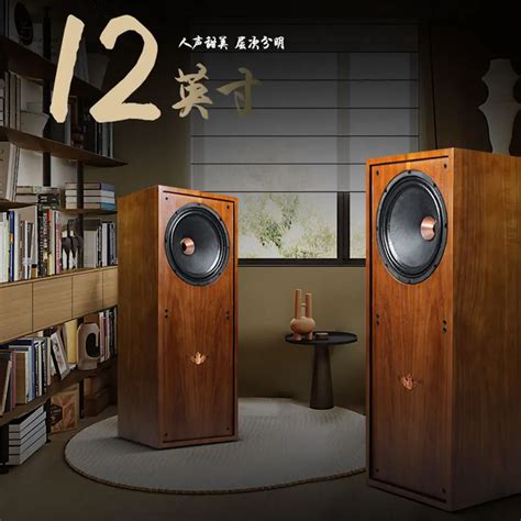 HQ15 Coaxial Fever Grade Hifi High Fidelity Flagship Passive Speaker