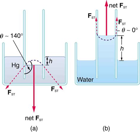 Capillary action; Capillarity