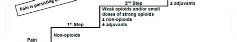 Cancer Pain Management Three Step Who Analgesic Ladder [35] Download Scientific Diagram