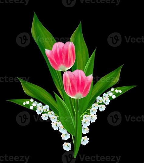 spring flowers tulips 9868080 Stock Photo at Vecteezy