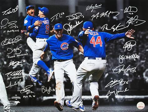 2016 Cubs World Series Champions 16x20 Photo Team Signed By 22 With