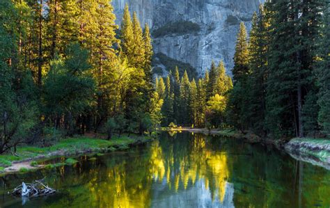 Fondos De Pantalla Árboles Paisaje Bosque Lago Naturaleza