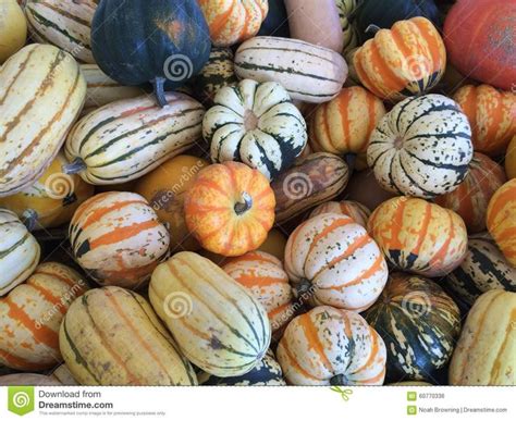 types  gourds stacked