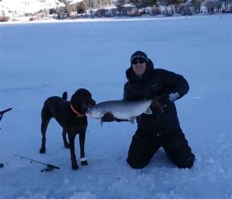 Ice Fishing For Lake Trout Fly Fishing Tips And Tactics