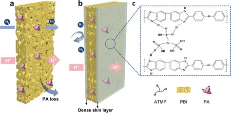 Schematic Diagrams Of A A Porous Membrane And B A Porous Pbi Membrane