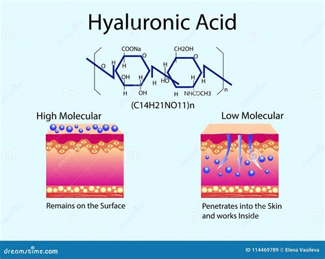 What Is Hyaluronic Acid Simple Definition At Norma Daniel Blog