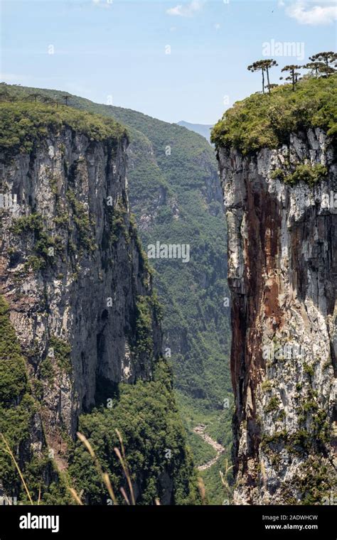 Canyons Of Aparados Da Serra National Park In Southern Brazil Stock