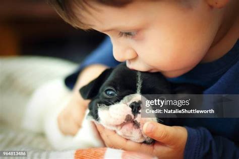 Baby Kissing Dog Photos and Premium High Res Pictures - Getty Images