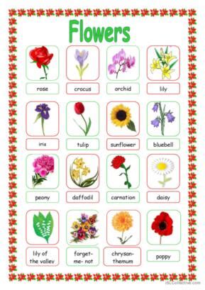 Flower English Esl Worksheets Pdf Doc