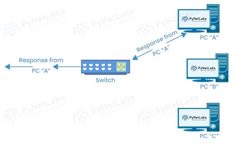 Hub vs Switch vs Router - What's the Difference?