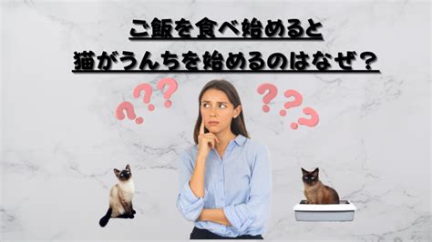 干支に猫が入っていないのはなぜ？十二支の物語 夫婦ブロガー～ネコのいる暮らし～