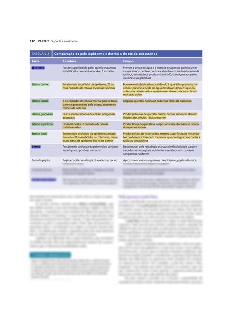 SOLUTION 5 Cinnamon Vanputte Jennifer Regan Andrew Russo Anatomia E