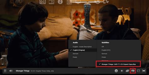 C Mo Poner Subt Tulos En Netflix Transcribir Net