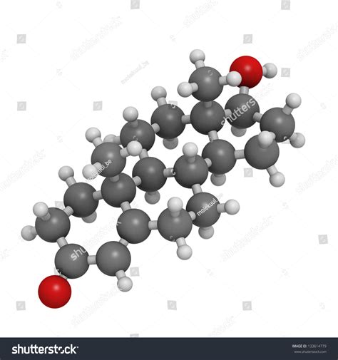 Testosterone Male Sex Hormone Molecular Model Stock Illustration