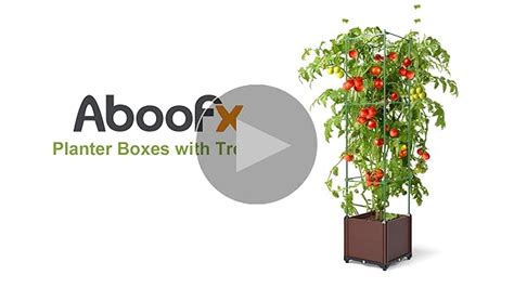 Amazon Aboofx Tomato Planter Box Raised Garden Bed Planter