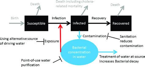 Water Sanitation And Hygiene Interventions Download Scientific Diagram