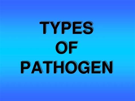 Ppt Types Of Pathogen Powerpoint Presentation Free Download Id2095978