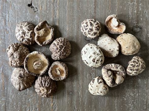 Dried Shiitake Mushrooms