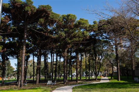 Parque Yrigoyen se encuentra en el partido de San Martin, ubicado en la