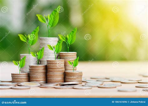 Tree Growing On Coins Stack With Sun Ray For Saving Money Stock Photo