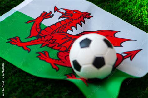 wales national football team national flag  green grass  soccer