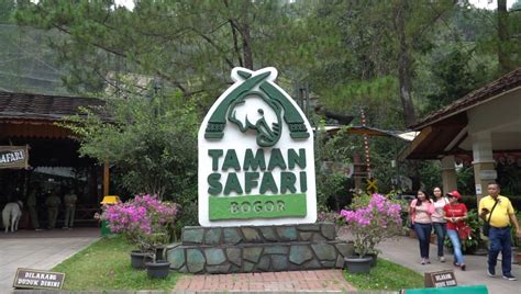 jakpost guide  taman safari indonesia bogor guide