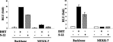 Activation Of P Mapk Jnk Pathway Inhibits Basal And Ligand Dependent