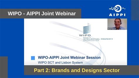 Wipo Aippi Joint Webinar Part Brands And Designs Sector Youtube