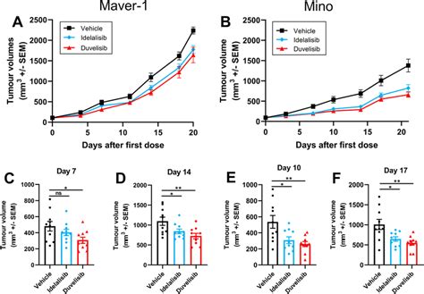 Pi3k Inhibition Reduces Tumour Growth In A Xenograft Model 5 × 10⁶