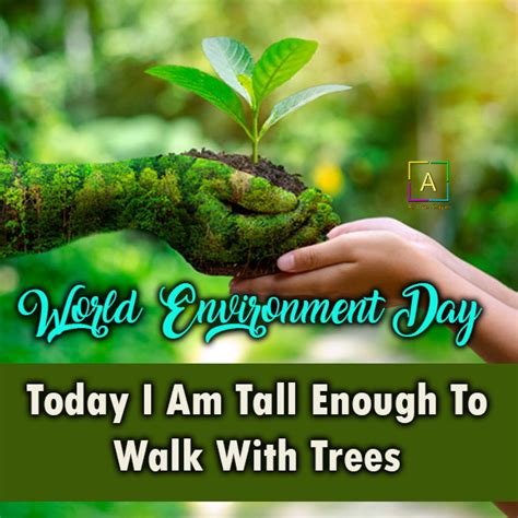 Happy World Environment Day Quotes, Messages, Slogans & Wishes