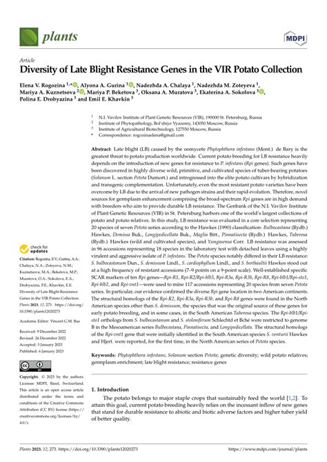 Pdf Diversity Of Late Blight Resistance Genes In The Vir Potato Collection