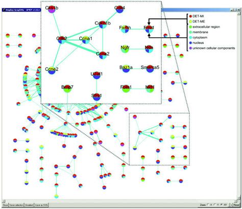 Display Of Protein Protein Interaction Networks A Global View Of