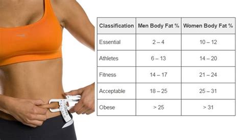 Woman Body Fat Percentage : Is It Healthy to Have a Low Body Fat Percentage? - InBody USA / For ...