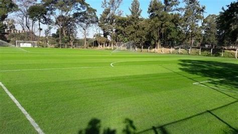 Grama De Campo Futebol Green Gramados Gramas Por M