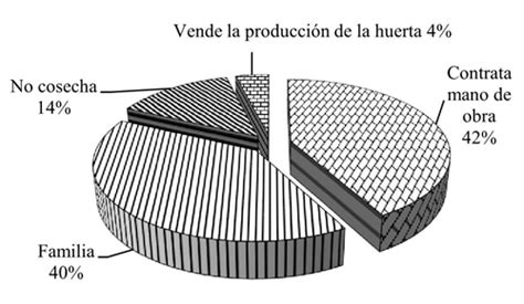 Producción y comercialización del mamey en Alpoyeca Guerrero opinión