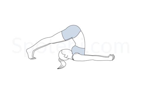 Plow Pose | Halasana | Yoga poses, Yoga for flexibility, Yoga postures