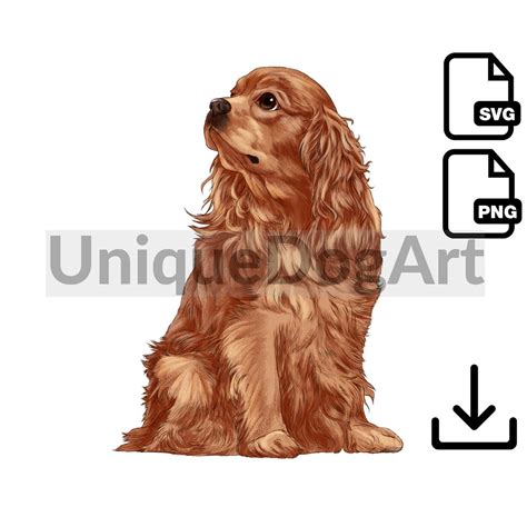 Cavalier King Charles Spaniel PNG Clipart Printable Sitting Ruby King