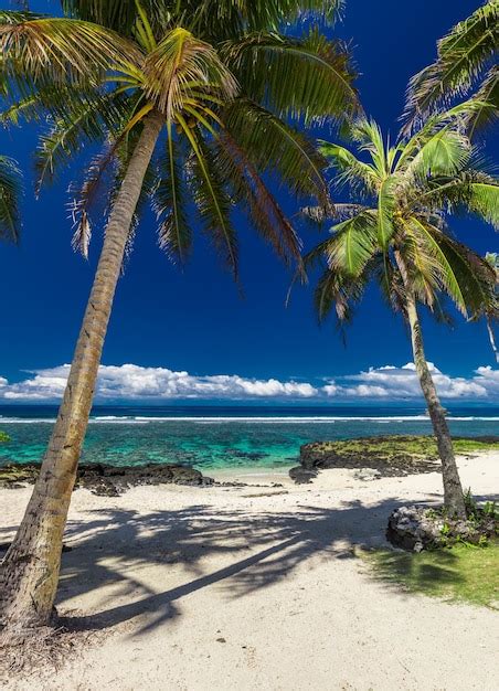 Playa Tropical En El Lado Sur De La Isla De Samoa Con Palmeras De Coco