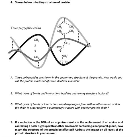 Solved 4. Shown below is tertiary structure of protein. CH | Chegg.com