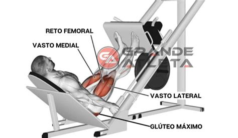 Leg Press 45° Para Que Serve Execução Músculos E Ficha De Treino