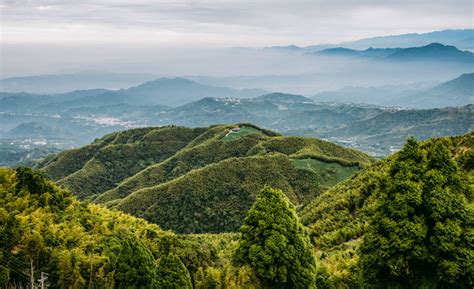 Tea Country Nantou Taiwan Everything