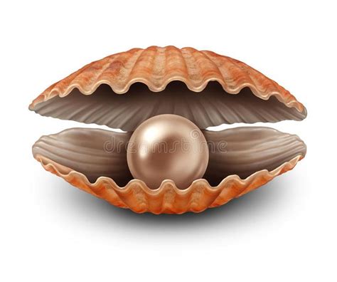 Open Shell With Pearl