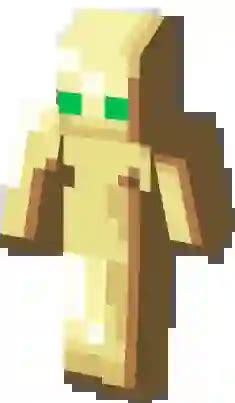 Totem Minecraft Skins | SkinsMC