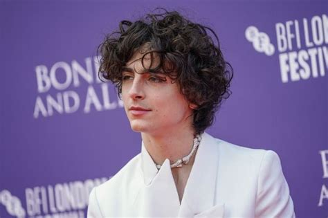 Timothée Chalamet Net Worth: Name, Age, Controversy, Career