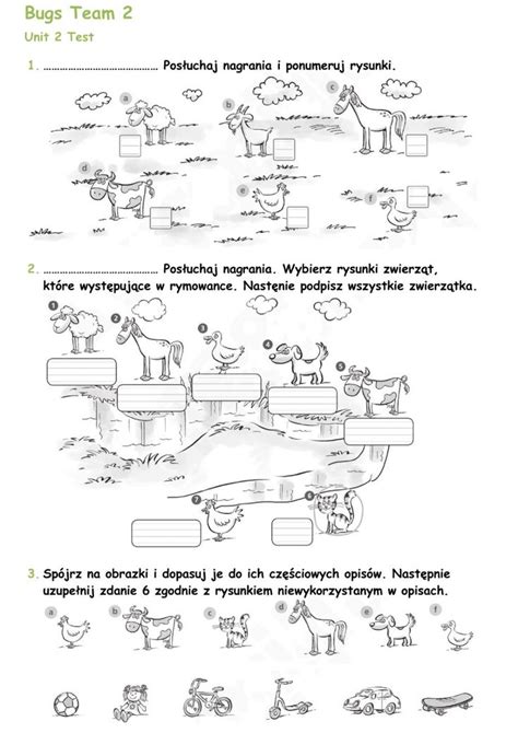 Bugs Team 2 Unit 2 Test Worksheet