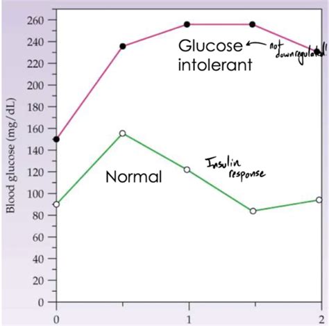 Equine Endocrine Flashcards Quizlet