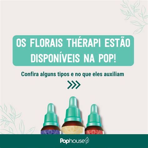 Os florais servem para auxiliar no controle das emoções e funcionam