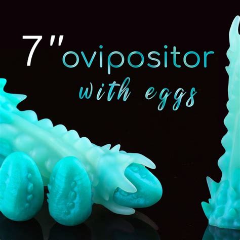 Ovipositor And Eggs Etsy