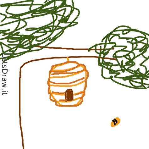 How To Draw Bee Hive Ckzxxw3kkpng Letsdrawit