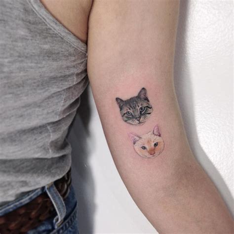 Actualizar 75 Imagem Tatuagem Gato Siames Br Thptnganamst Edu Vn